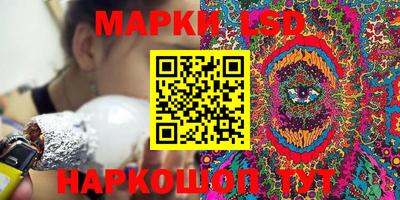 дурь Гай