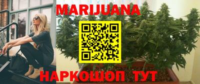 ешки Гатчина