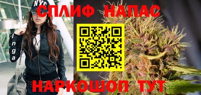 дурь Гай