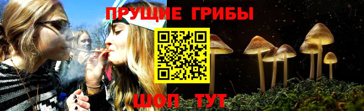 Усть-Джегута  Псилоцибиновые грибы прущие грибы  Вход с VPN  Псилоцибиновые грибы ЛСД 