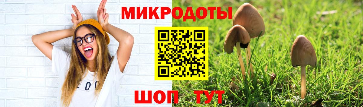 Псилоцибиновые грибы GOLDEN TEACHER Усть-Джегута